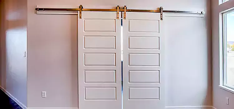 Glass Barn Door with Installation Hardware Kit Elmira