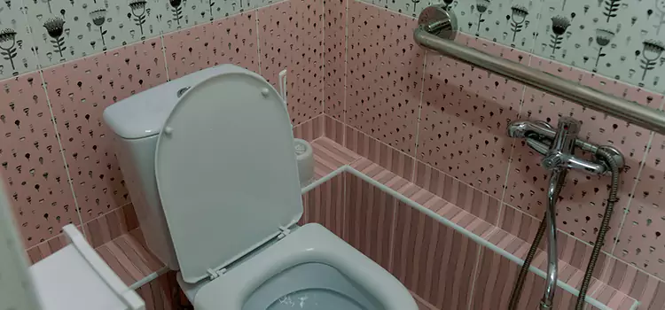 Meeting Diverse Needs With Accessible Restroom Solutions in Elmira, NY